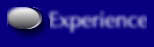 Experience