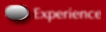 Experience